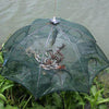 Image of COLLAPSIBLE MAGIC FISH TRAP - Threads and Metal
