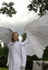 Image of Halloween 3D Angel Devil Big Wing - Threads and Metal