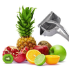 Image of Stainless Steel Fruit Juicer