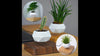 Image of Threads™ Floating Plant Pot - Threads and Metal