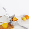 Image of Stainless Steel Fruit Juicer