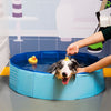 Image of PORTABLE PAW POOL