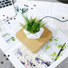 Image of Threads™ Floating Plant Pot - Threads and Metal