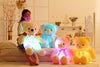 Image of Fluffy Colorful Glowing Teddy Bear-Best Gift of 2020 - Threads and Metal