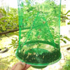 Image of REUSABLE FLY TRAP ( FREE SHIPPING + 50% OFF )