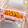 Image of Smart Refrigerator Storage Shelf