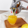 Image of Stainless Steel Fruit Juicer