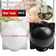 Plant Root Growing Box