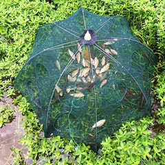 COLLAPSIBLE MAGIC FISH TRAP - Threads and Metal 