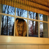 Image of Scary Peeper Creeper